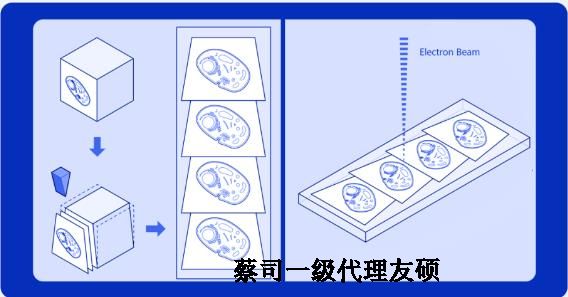 宜昌蔡司宜昌扫描电镜